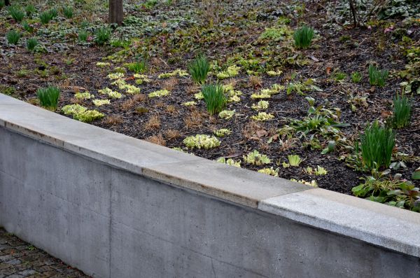 Concrete Wall Construction in Napa