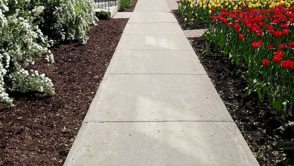 Cement Sidewalk Installation in Napa