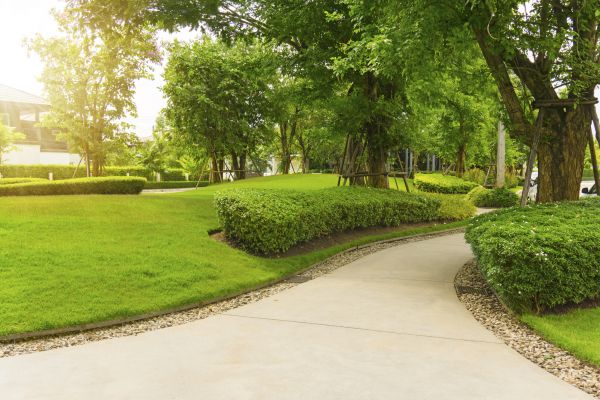 Walkway Concrete Installation in Napa
