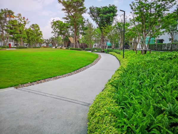 Cement Walkway Service in Napa