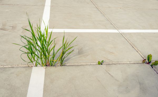 Concrete Parking Installation in Napa