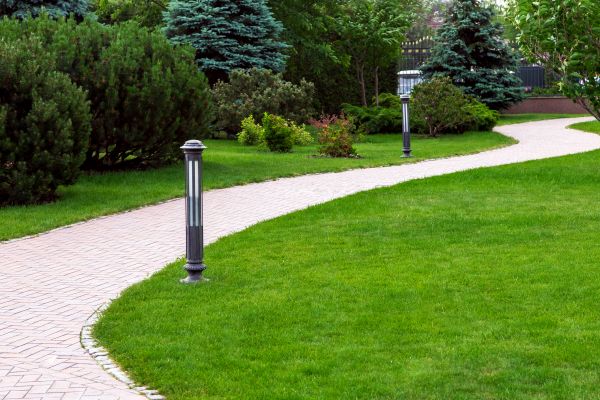 Backyard Sidewalk Installation in Napa