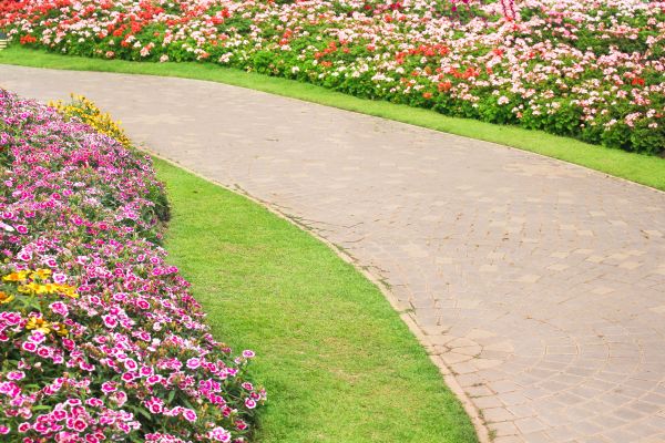 Concrete Walkway Service in Napa